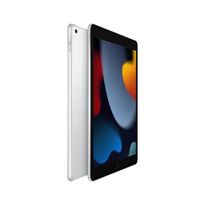 APPLE iPad 9th WIFI 256G(10.2)2021_MK2P3TA/A(銀色)